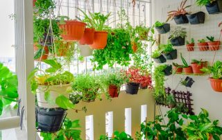 orto sul balcone